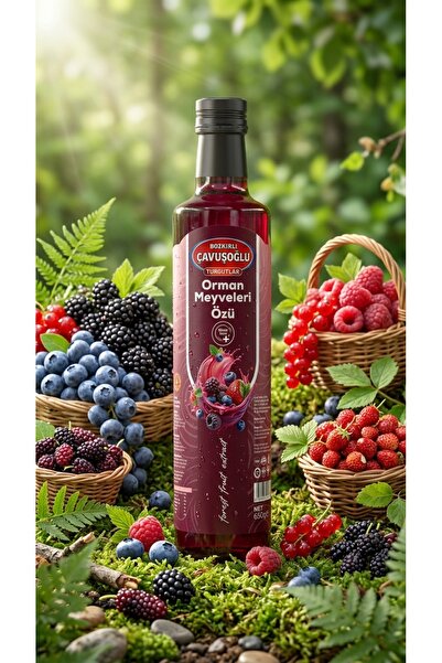 Bozkırlı Çavuşoğlu Orman Meyveleri Özü 650g
