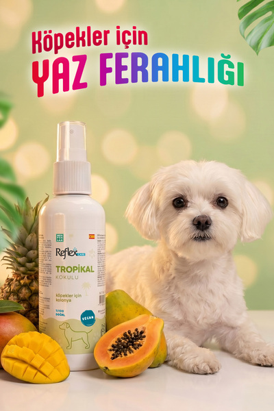 Reflex Care Tropikal Kokulu Köpek Kolonyası 125 ml