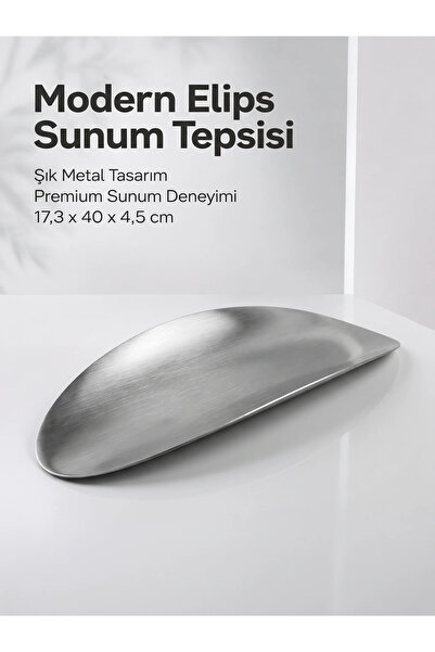 Vienev Modern Ellipse Metal Presentation Tray