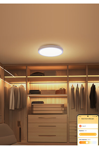 Xiaomi Smart Ceiling Light D20 Akıllı LED Tavan Lambası 25cm 17W Hareket Sens...