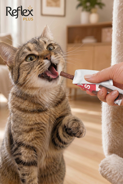 Reflex Plus Meaty Mini Sticks Kedi Ödül Maması 4 Çeşit 40g