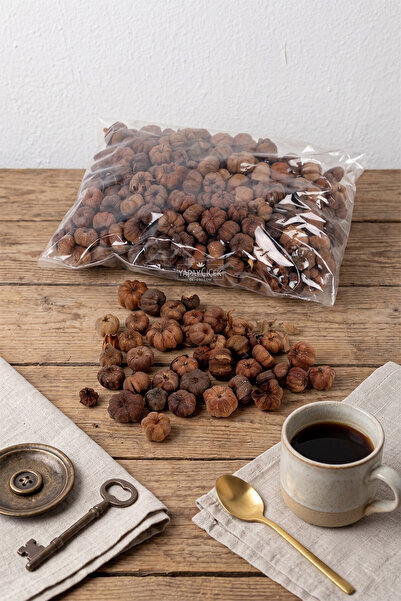 Yapay Çiçek Deposu Tropik Mini Süsleme Kabak Putka Pod 100Gr