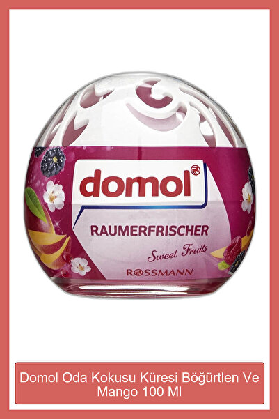 DOMOL Oda Kokusu Küresi Böğürtlen Ve Mango 100 Ml