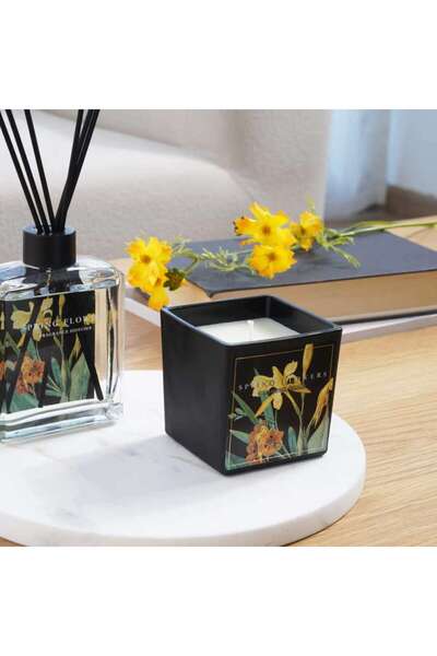 PAN HOME Botany Spring Flowers Black Scented Jar Candle 220gm- 28 Hrs