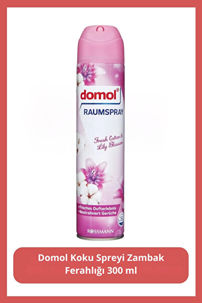 DOMOL Koku Spreyi Zambak Ferahlığı 300 ml