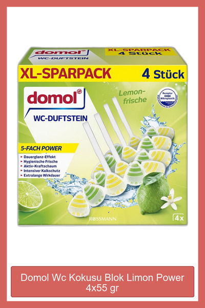 DOMOL WC KOKUSU BLOK 4X55GR LIMON POWER