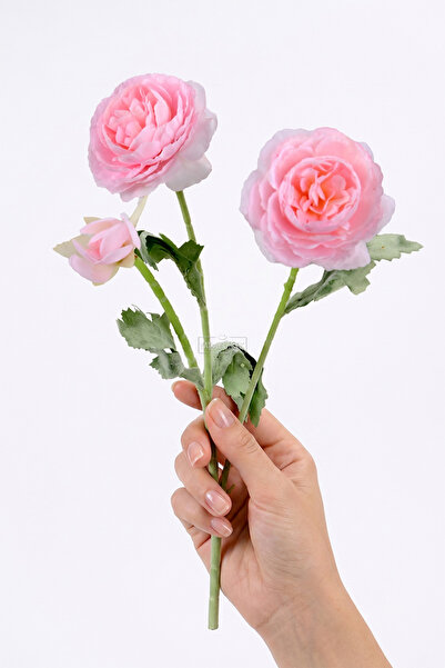 Yapay Çiçek Deposu Yapay Çiçek 3lü Şakayık Ranunculus Dalı 50 cm Pudra