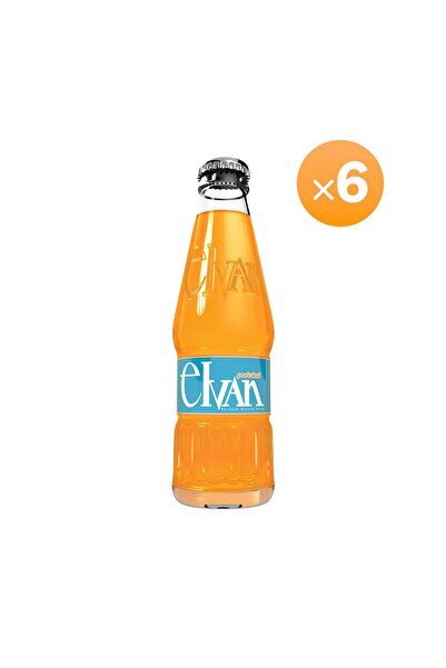 Elvan Gazoz Portakallı 250 ml 6 lı Paket Cam Şişe