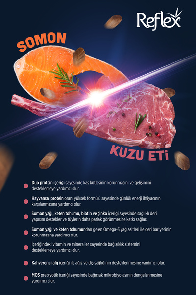 Reflex Duo Proteinli Somonlu ve Kuzu Etli Orta ve Büyük Irk Yetişkin Köpek Maması 10 kg