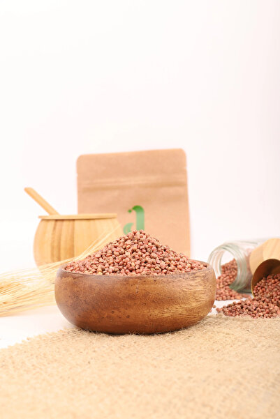 AKTARCINIZ Ispanak Tohumu 1 Kg