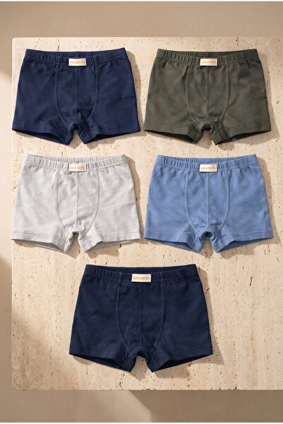 Katia&Bony Boy's 5-Piece Basic Multi-Color Boxer Set