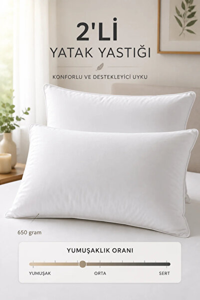 conzaliza 2 Pieces Microfiber Silicone Pillow