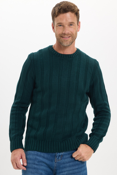 Tudors Men's Standard Fit Regular Cut Crew Neck Patterned Green Sweater