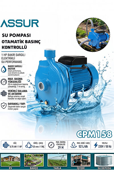 ASSUR CPM158 29m Basınç Yüksekliği 1 Hp Bakır Sargı Elektrikli Santrifüj Pomp...