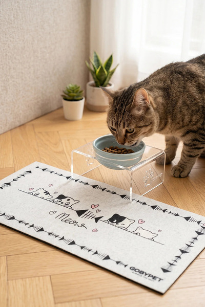GOBYPET Tekli Seramik Dekoratif Kedi Ve Köpek Pleksi Mama & Su Kabı Kedi Paspası