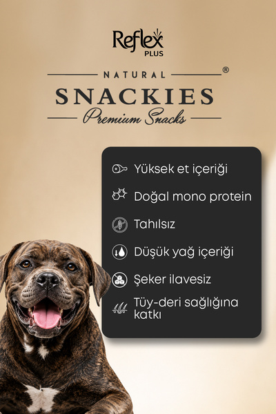 Reflex Plus Snackies Natural Füme Somon Etli Şeritler Premium Köpek Ödül Maması 170g