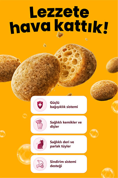 Reflex Crunchy Bubbles Duo Protein Somonlu ve Tavuklu Yetişkin Kedi Maması 10 kg