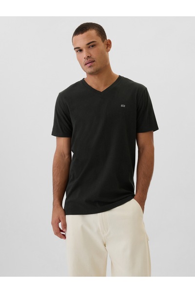 GAP V-Frch Everyday Soft Men's T-Shirt
