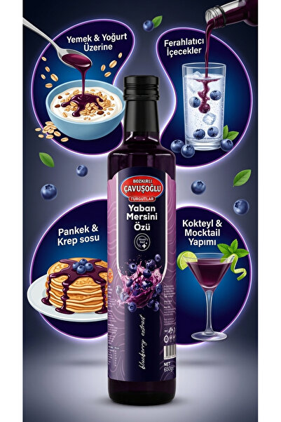 Bozkırlı Çavuşoğlu Yaban Mersini Meyve Özü 650g
