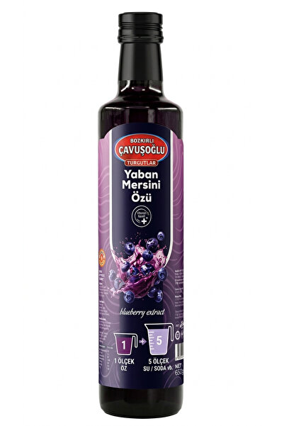 Bozkırlı Çavuşoğlu Yaban Mersini Meyve Özü 650g