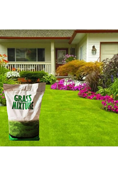 GRASS MIXTURE Çim Tohumu 10 Kg Ithal 6 Lı Karışım