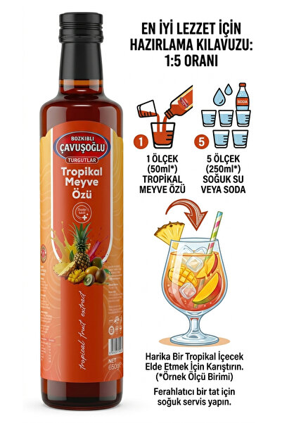 Bozkırlı Çavuşoğlu Tropikal Meyve Özü 650g
