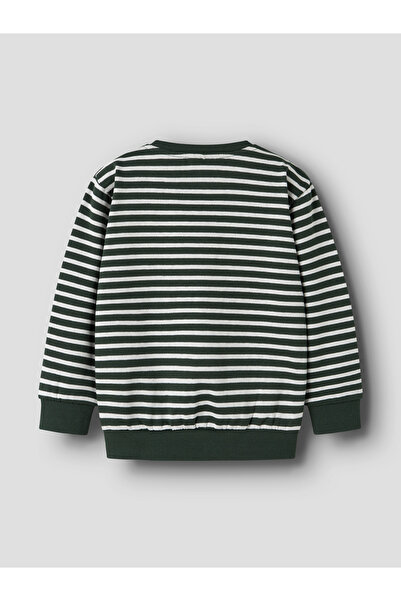 Name it NMMOZIAS LS NREG SWE BRU PB