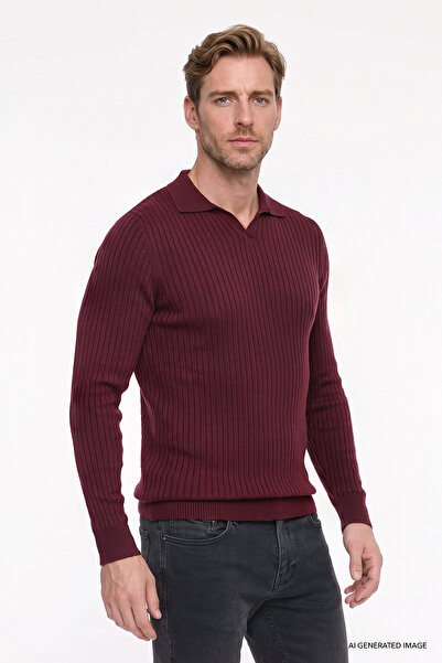 AC&Co / Altınyıldız Classics Men's Burgundy Standard Fit Regular Cut Polo Col...