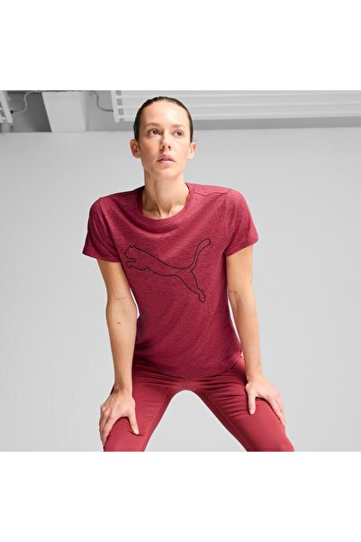 Puma Heather Logo Tee Port He W Tad Essential