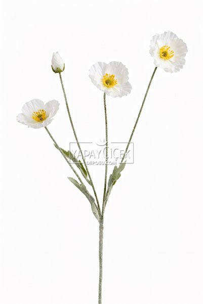 Yapay Çiçek Deposu Yapay Gelincik Dalı 60 cm 3lü SET Somon-Beyaz-Açık Pembe