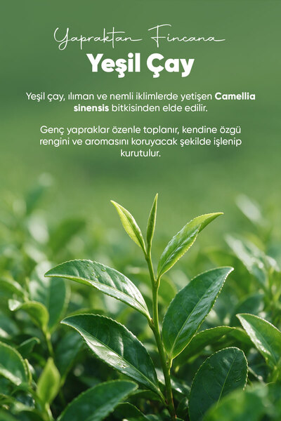 Arifoğlu Yeşil Çay, Green Tea %100 Doğal ve Katkısız 150 gr.