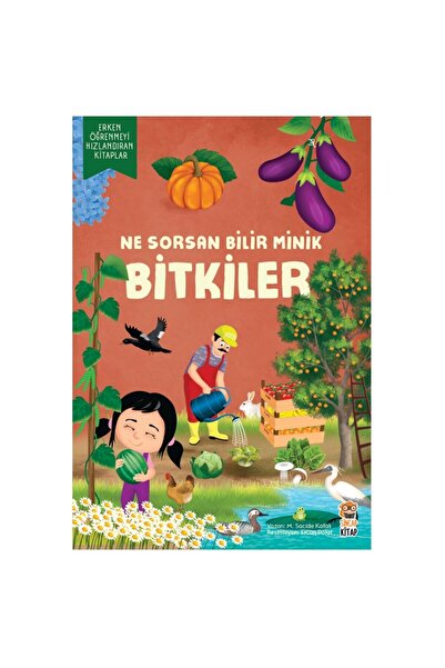 Sincap Kitap Ne Sorsan Bilir Minik Bitkiler | Bitki Yaşam Döngüsü, Meyve, Seb...