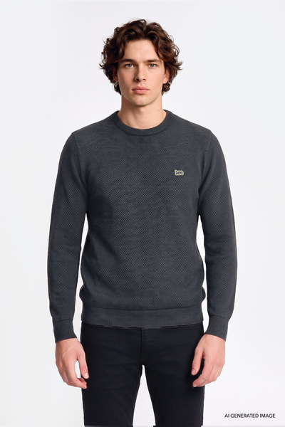 Lee Cotton Regular Fit Regular Cut Crew Neck Knitwear Sweater