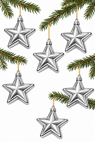 Waldern Set of 6 7 cm 5-Pointed Star Christmas Pine Tree Ornaments