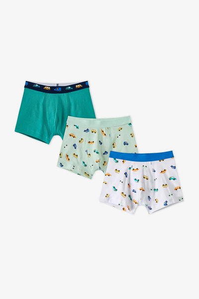Penti Erkek Çocuk Capybaras With Cars Araba Desenli Pamuklu 3'lü Boxer