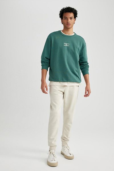 DeFacto Regular Fit Crew Neck Printed Sweatshirt A7462Ax23Au