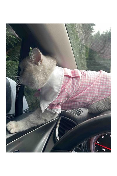 Gobo Pink Female Shirt Cat Dog Clothes Dress with Ribbon