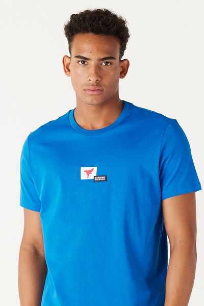AC&Co / Altınyıldız Classics Men's Saks Blue Standard Fit Regular Cut Crew Neck 100% Cotton Logo T-Shirt