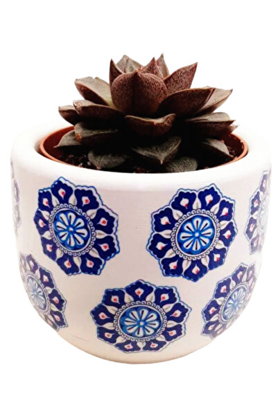 Dekoratif atölye Çini Damgalı Taş Saksı - El Yapımı Beton Saksı - Kalemlik