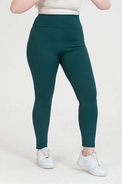 TİGERS TİGERSS women's plus size high waist elasticated ribbed tights