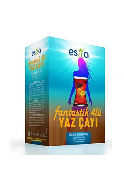 ESİLA Fantastik Dörtlü Yaz 45 Poşet Çay