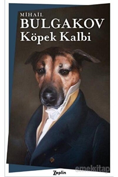 Zeplin Kitap Köpek Kalbi