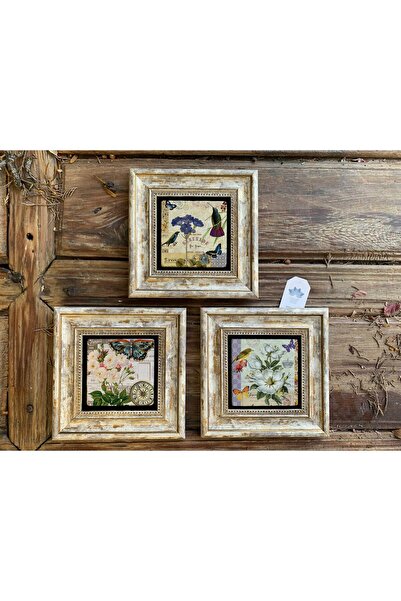 Oscar Stone Decor Çerçeveli Taş Tablo 20x20 cm 3 Lü Set Çiçek Kuş Seti Bird F...