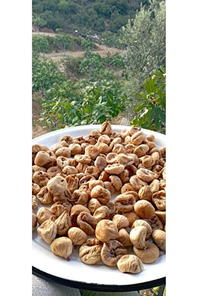 shopland Aydın Dağ inciri Organik ilaçsız 1 Kg (BUZDOLABINDA SAKLAYINIZ)