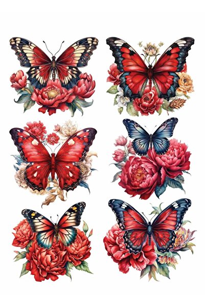 MyHobby Sulu Transfer Kağıdı Lnt-187 25x35 Cm