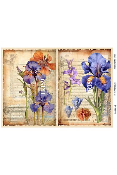LİNEART LineArt Brass Decopage Paper LA-IRIS9