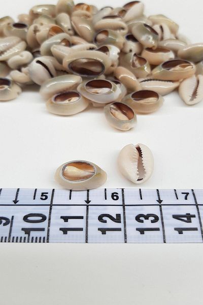 Hobigram Χάντρες Ποικιλία Coffee Mussel Seashell – Χάντρες, Κομψό Σχέδιο, Γυναικείο Αξεσουάρ – Χάντρες – Χάντρες