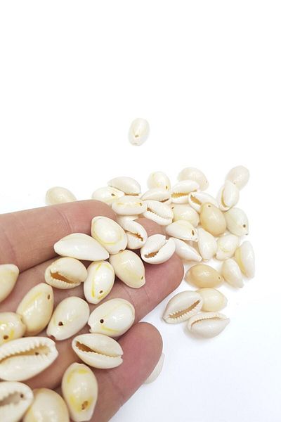 Hobigram Beads Assortment Cream Perforated Greyhound Beads Seashell – Beads, Stylish Design, Women's Accessory – Bon