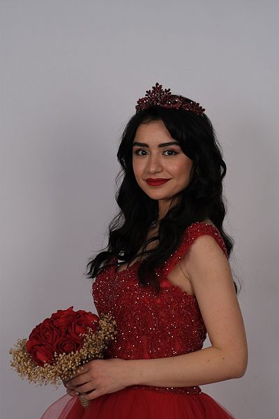 Hobigram Coroana de mireasa Burgundy Berlin Henna pentru cele mai frumoase mirese – Coroana, cu piatra de cristal, model elegant, coroana de mireasa – Coroana –