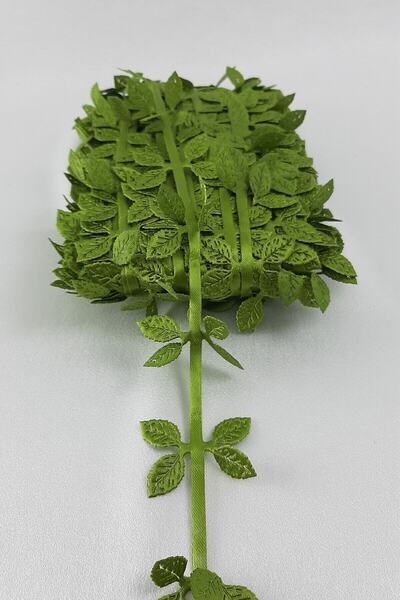 Hobigram Parti Malzemeleri Yeşil Çiftli Yaprak Şerit – Diğer Parti Malzemeler...